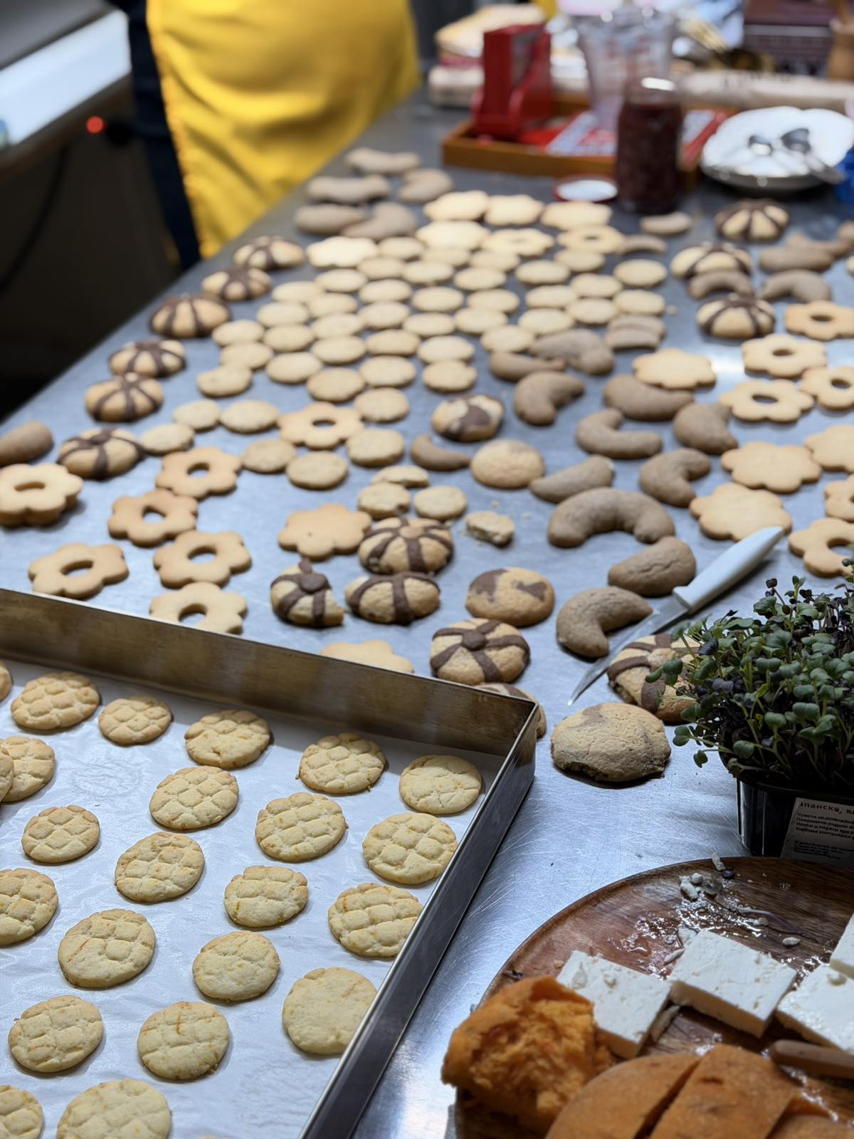 viber_slika_2026-04-11_20-03-37-118